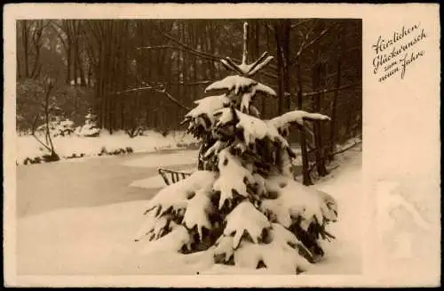 Ansichtskarte  Neujahr Sylvester New Year Landschaft verschneite Tanne 1936