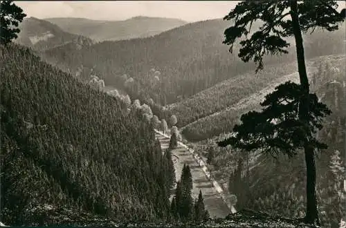 Ansichtskarte Tambach-Dietharz Dietharzer Grund 1960