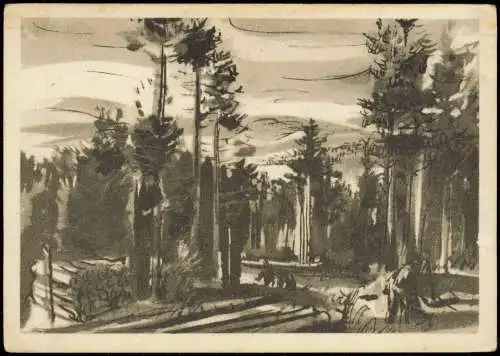 Ansichtskarte  Künstlerkarte Wald Forest 1961