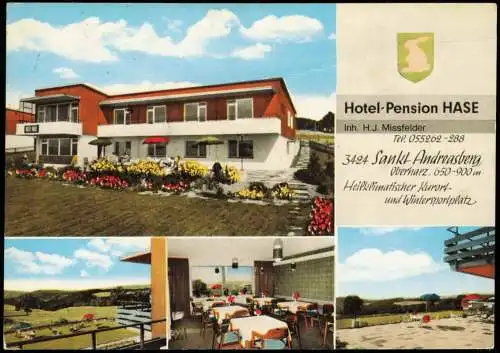 Ansichtskarte Sankt Andreasberg-Braunlage Hotel-Pension HASE MB 1973