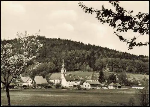 Ansichtskarte Moosbronn-Gaggenau Ortsansicht 1962