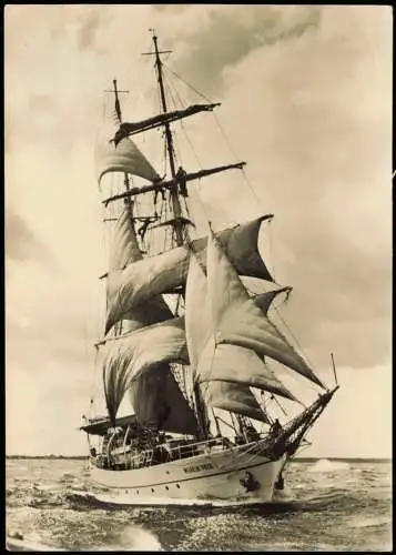 Ansichtskarte  WILHELM PIECK Segelschiff Schulschiff der DDR 1967