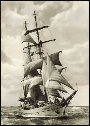 Ansichtskarte  Segelschulschiff Wilhelm Pieck DDR Schiffsfoto-AK 1975
