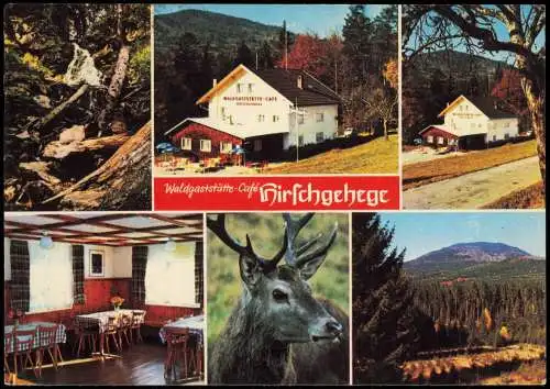 Ansichtskarte Scheuereck-Lindberg Waldgaststätte Hirschgehege Mehrbild 1971