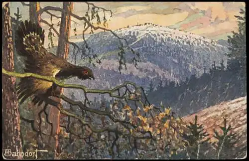 Brotterode Großer Inselberg Thüringer Wald Auerhahn Künstlerkarte 1912