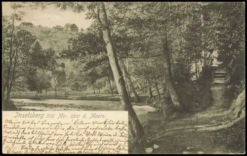 Ansichtskarte Brotterode Weg auf dem Inselberg Wald 1903
