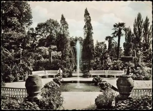 Ansichtskarte Bad Pyrmont Kurpark im Palmengarten 1955