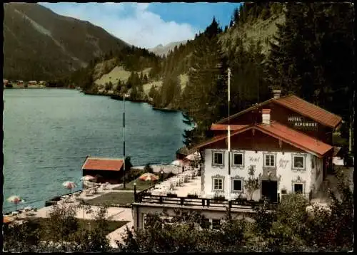 Ansichtskarte Haller Tirol Hotel Alpenhof am Haldensee 1979