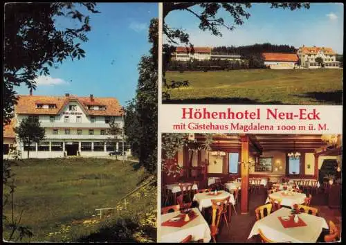 Furtwangen (Schwarzwald) 3 Bild Höhenhotel Neu-Eck u. Gästehaus Magdalena 1978