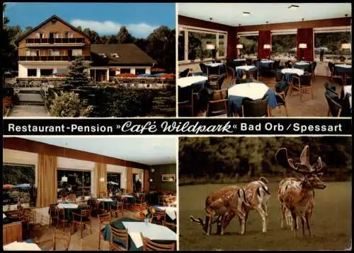 Ansichtskarte Bad Orb Mehrbild-AK Restaurant-Pension Café Wildpark 1976