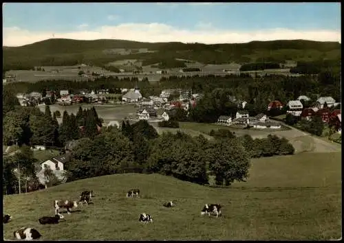 Ansichtskarte Hinterzarten Panorama-Ansicht Ort im HOCHSCHWARZWALD 1968