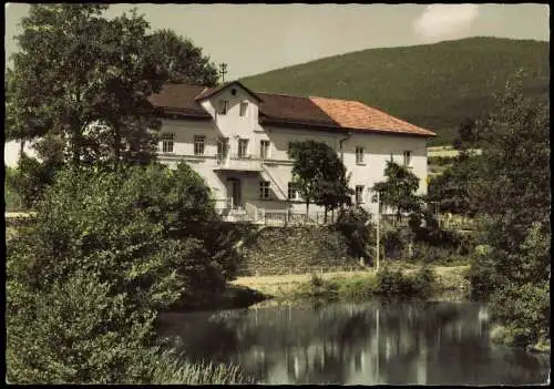 Hohenwarth (Landkreis Cham) Ortsansicht mit Gasthof und Pension Mühlbauer 1970