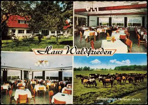 Ansichtskarte Dülmen 4 Bild Haus Waldfrieden - Gastraum 4 Bild 1968