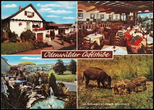 Ansichtskarte Michelstadt Odenwalder Cafestube - Würzberg 1983