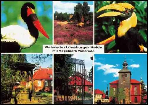 Walsrode Mehrbildkarte Vögel, Lüneburger Heide mit Vogelpark Walsrode 1980