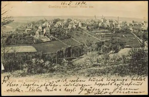 Ansichtskarte Eisenberg (Thüringen) vom Nassen Walde aus - REPRO 1904/2002