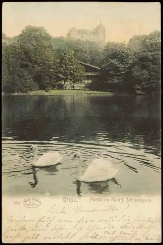 Ansichtskarte Greiz Partie im Fürstl. Schlosspark. Schwäne 1902