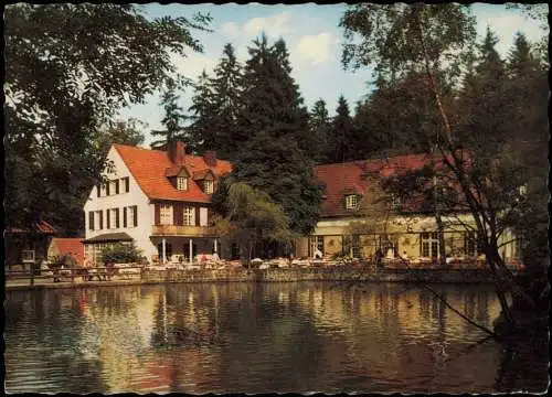 Leopoldstal Horn Bad Meinberg  PENSION SILBERMÜHLE Teutoburger Wald 1967