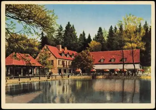 Leopoldstal Horn Bad Meinberg Hotel  Pension SILBERMÜHLE Teutoburger Wald  1957