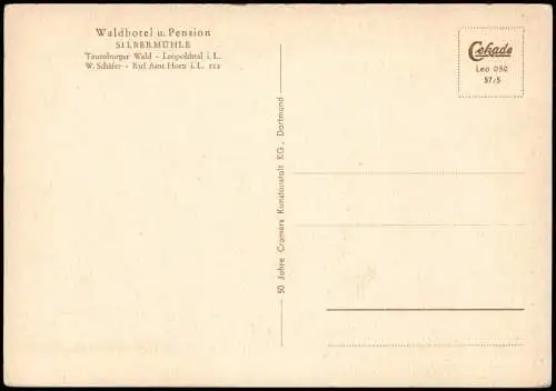 Leopoldstal Horn Bad Meinberg Hotel  Pension SILBERMÜHLE Teutoburger Wald  1957