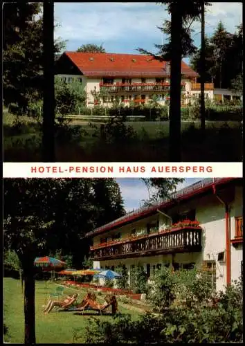 Ansichtskarte Haidmühle HOTEL-PENSION HAUS AUERSPERG 1987