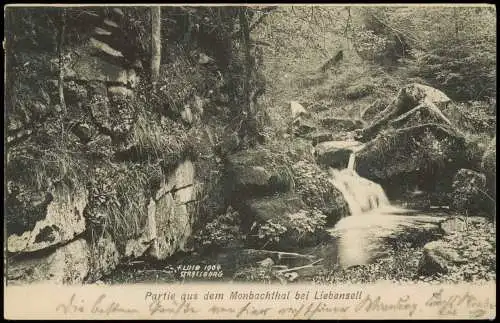 Ansichtskarte Bad Liebenzell Partie aus dem Monbachthal 1904  gel. Halbstempel