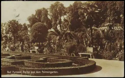 Ansichtskarte Bad Pyrmont Partie aus dem Palmengarten. Fotokarte 1928