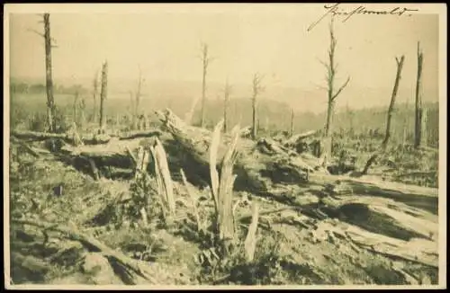 Ansichtskarte  Militär Propaganda 1.WK zerstörter Wald 1916 div Feldpoststempel
