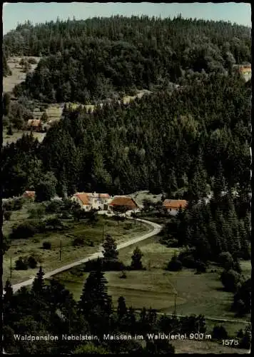 Ansichtskarte Weitra Waldpension Nebellstein Waldviertel 1972