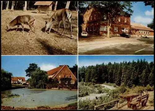 Ansichtskarte Vahrendorf-Rosengarten (LK Harburg) Erhorns Gasthaus 4 Bild 1978