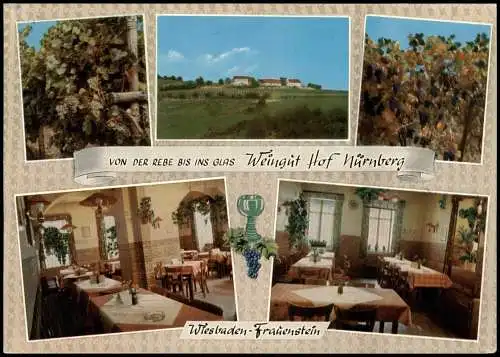 Ansichtskarte Frauenstein-Wiesbaden Weingut Hof Nürnberg Mehrbild 1971