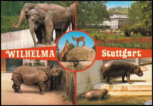 Cannstatt-Stuttgart Mehrbildkarte Zoo Tiere Tierpark Wilhelma 1980