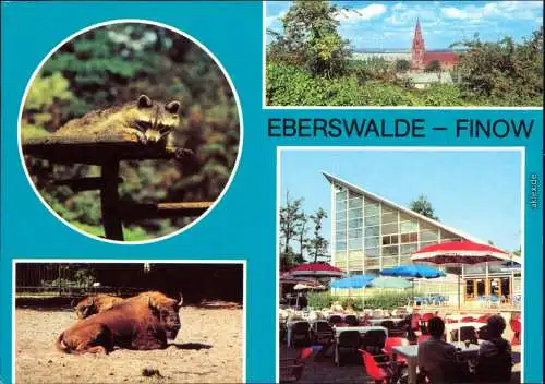 Ansichtskarte Finow-Eberswalde Im Tierpark 1981