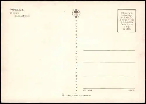 Postcard Swinemünde Świnoujście Schiffe im Hafen W porcie 1977