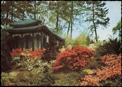 Ansichtskarte Dortmund Bundesgartenschau BUGA japanisches Teehaus 1959