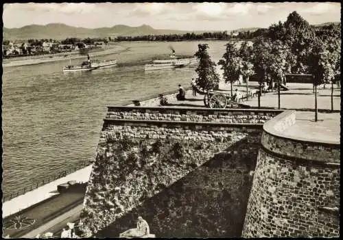 Ansichtskarte Bonn Alter Zoll Siebengebirge Rheindampfer 1963