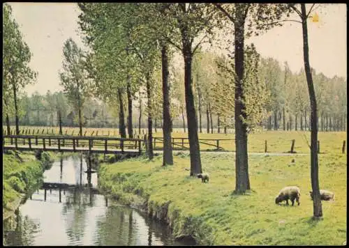 Ansichtskarte Nottuln Partie am Fluß 1963