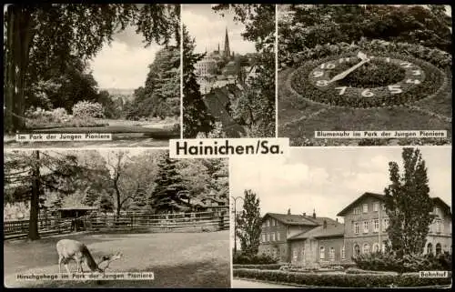 Hainichen DDR MB u.a. mit Park der Jungen Pioniere Hirschgehege 1965