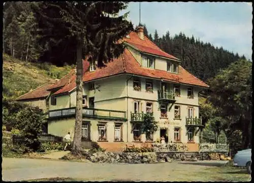 Ansichtskarte Hinterzarten Gasthaus-Pension Löffelschmiede Titisee 1969