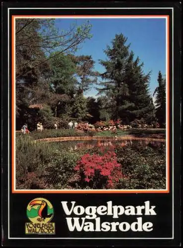 Ansichtskarte Walsrode Vogelpark: Flamingoteich 1990
