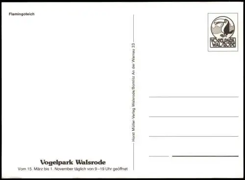 Ansichtskarte Walsrode Vogelpark: Flamingoteich 1990