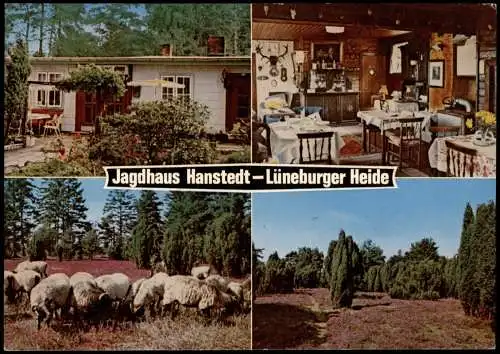 Hanstedt Nordheide Waldpension Jägerhaus Jagdhaus  Lüneburger Heide 1975