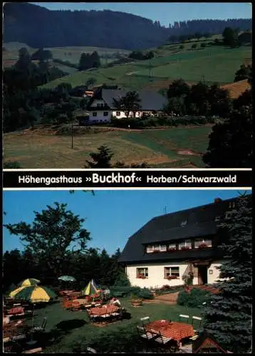 Ansichtskarte Horben Partie am Höhengasthaus Buckhof Familie Steiert 1975