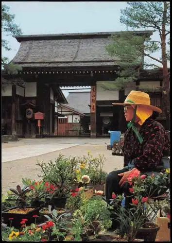 Postcard Japan Round Trip of Hida-Takayama Japan Nippon 日本 1980