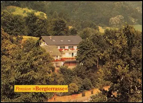 Ansichtskarte Annweiler am Trifels Pension Bergterrasse 1980