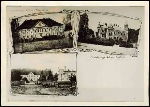 Hohenzieritz 3 Bild Schloß Prillwitz Weisdin 1913/1995 REPRO Foto