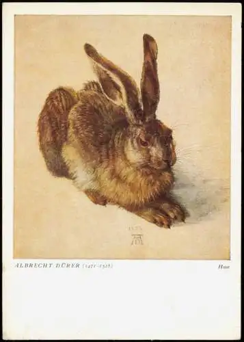 Ansichtskarte  Künstlerkarte: Gemälde Hase ALBRECHT DÜRER (1471-1528) 1954