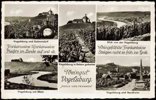 Volkach Mehrbild-AK Vogelsburg, Weingut, Escherndorf, Weinberge uvm. 1960
