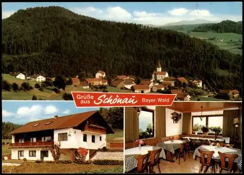 Ansichtskarte Viechtach Café-Pension Arberblick 1981