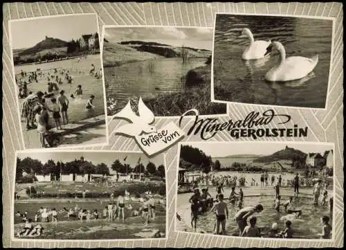 Ansichtskarte Gerolstein Mehrbild Fotokarte Schwimmbad 1962